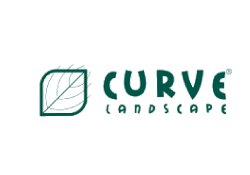 Curve_logo.png